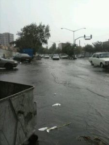 Photo3