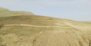 صدور دستور شلیک از طرف شورای تامین استان در روستای انجرد