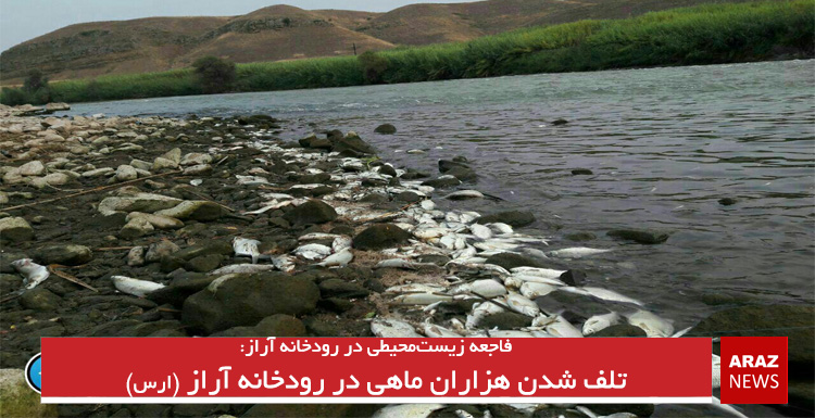 تلف شدن هزاران ماهی در رودخانه آراز (ارس) تلف شدن هزاران ماهی در رودخانه آراز (ارس)
