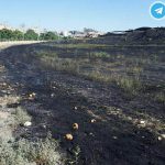 آتش‌سوزی گسترده در تپه باستانی همدان