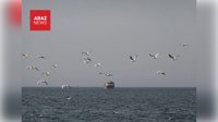 تهران به حضور نظامی بریتانیا و فرانسه در تنگه هرمز واکنش نشان داد