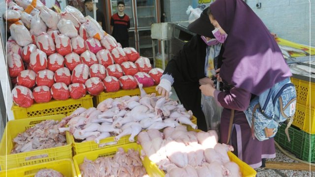 Toyuq bahalaşmasının təhlükə zəngi çaldı; yem qiymətlərinin sıçrayışı bazarı tarif artımının astanasına gətirdi