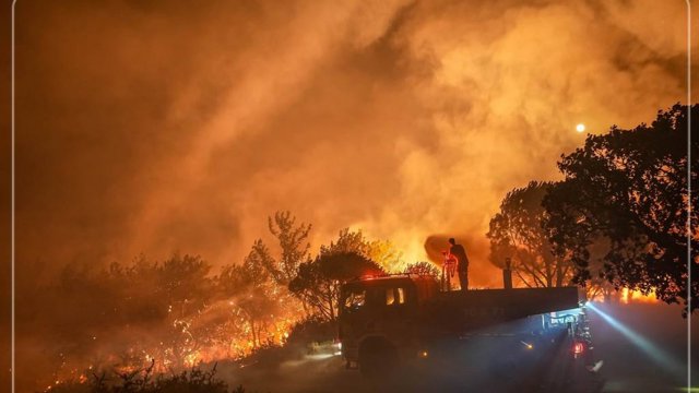 Türkiyədə meşə yanğınları: 163 yanğın söndürüldü, Aydın və Balıkəsir hələ də yanır
