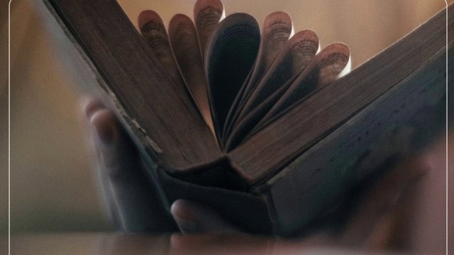 Tədqiqatçıların tapıntısı: roman oxumaq başqalarının duyğularını anlama qabiliyyətini gücləndirir