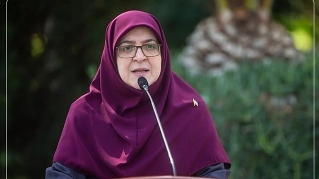 Hökumətin sözçüsü: Hələlik benzinin qiyməti artmayacaq