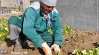 بیناب بلدیه‌ ایشچیلری: آیلیقلاریمیزی آلماقدا سیخینتی یاشیییریق