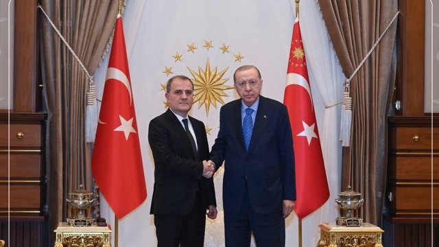 دیدار وزیر خارجه آزربایجان با اردوغان در آنکارا