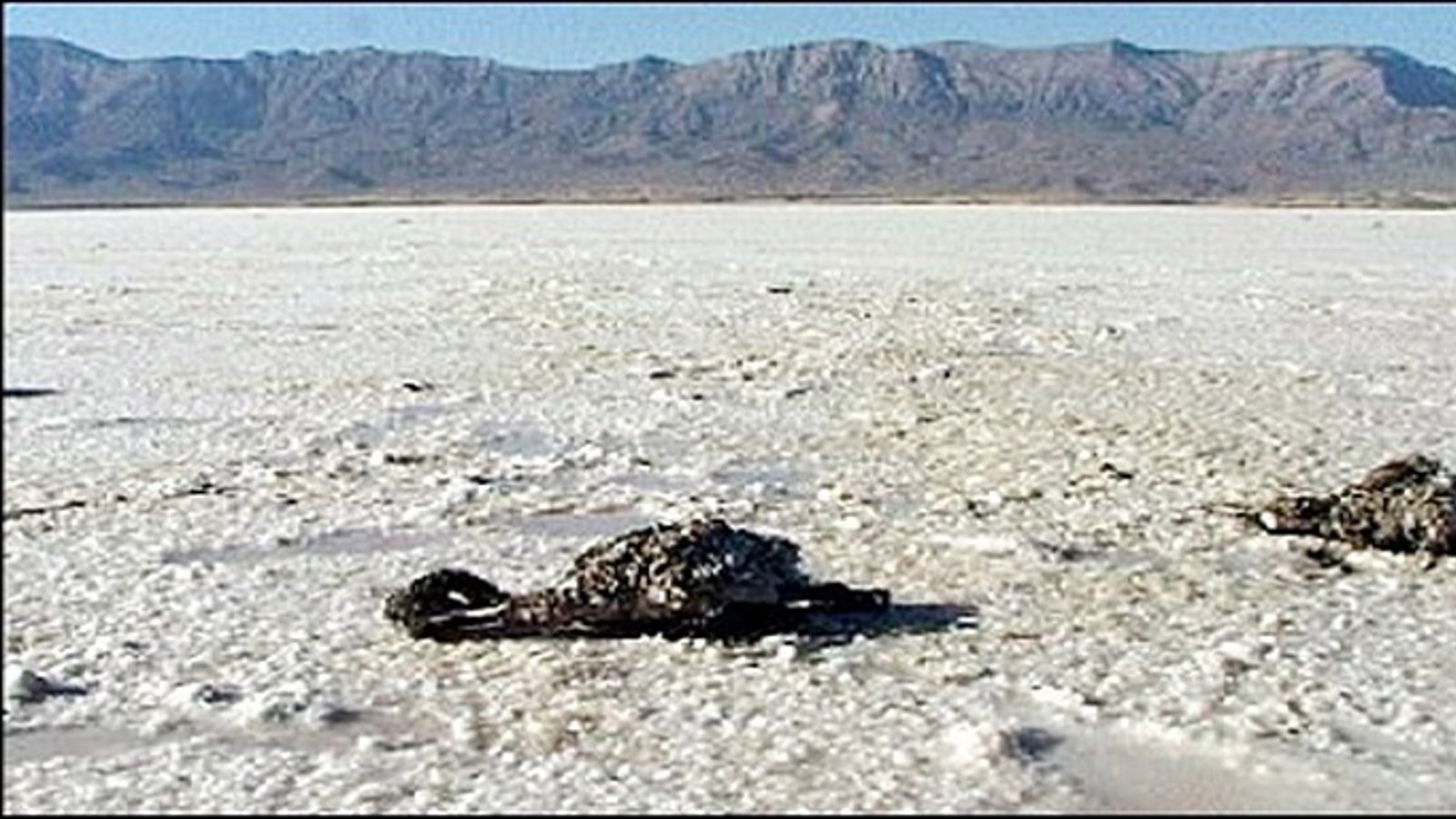 ۸۰ درصد برنامه‌های احیای دریاچه اورمیه اجرا نشده است