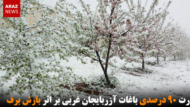 خسارت ۹۰ درصدی باغات آزربایجان غربی بر اثر بارش برف