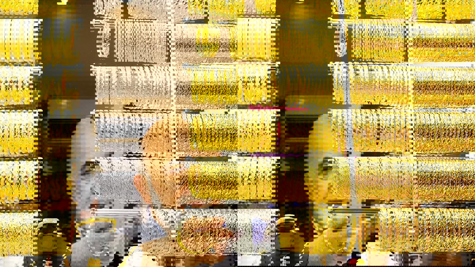 ممنوعیت فروش طلای دست دوم در ایران