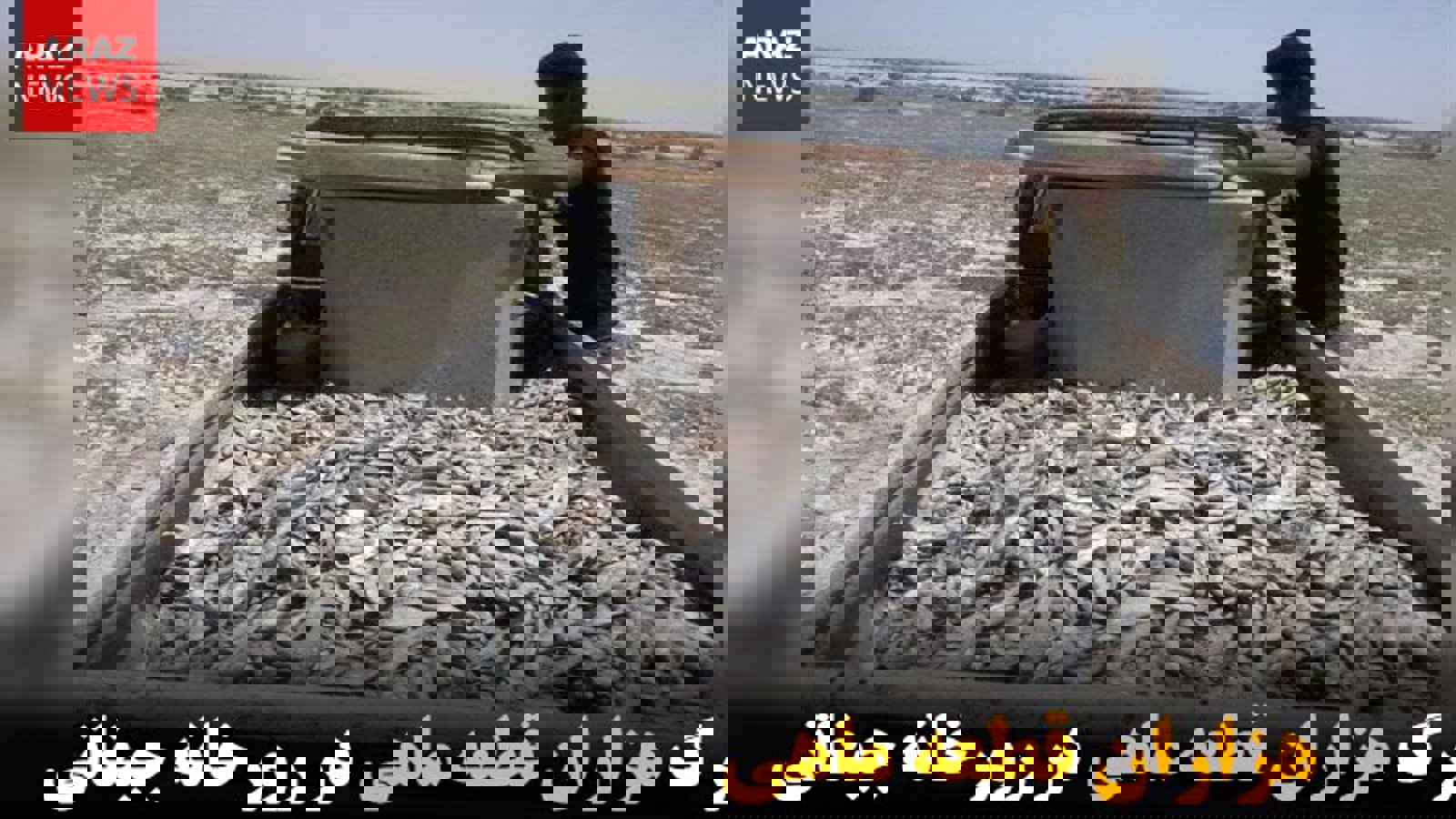 مرگ هزاران قطعه ماهی در رورخانه جیغاتی