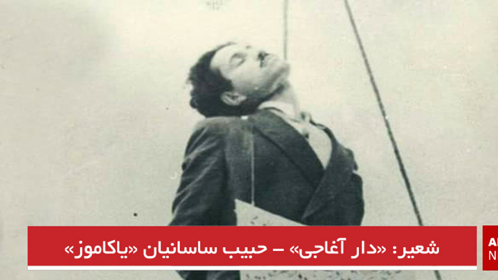 شعیر: «دار آغاجی» - حبیب ساسانیان