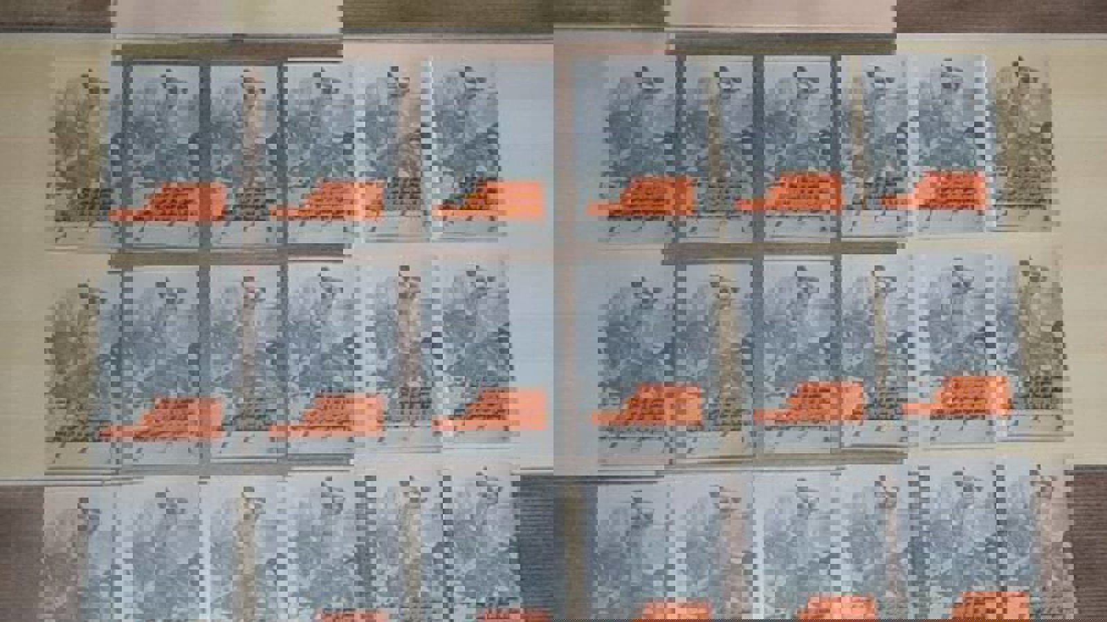 چاپ و نشر کتاب «مختصری بر تاریخ خانلیق افشار ارومی و تشکیل دولت ملی آزربایجان» در آزربایجان جنوبی