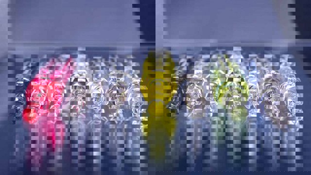 دانشمندان به تولید ''واکسن سرطان'' نزدیک شدند