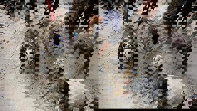 صدها کشته در نتیجه بمباران نیروهای اسد