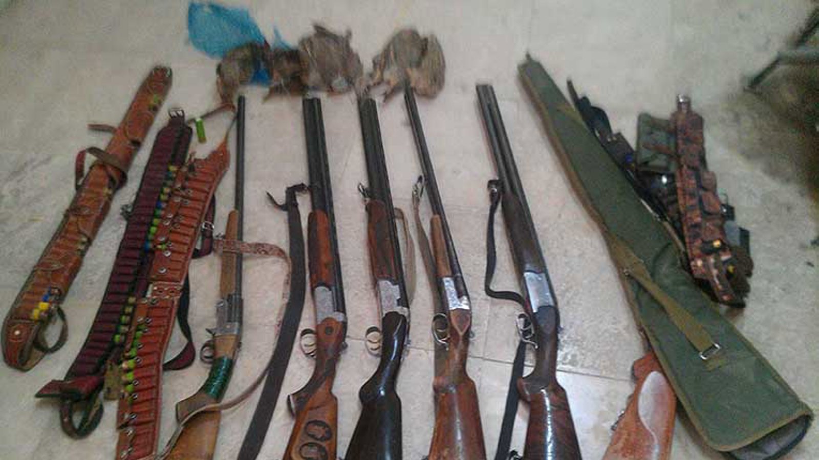 صدها شکارچی متخلف در اردبیل دستگیر شدند