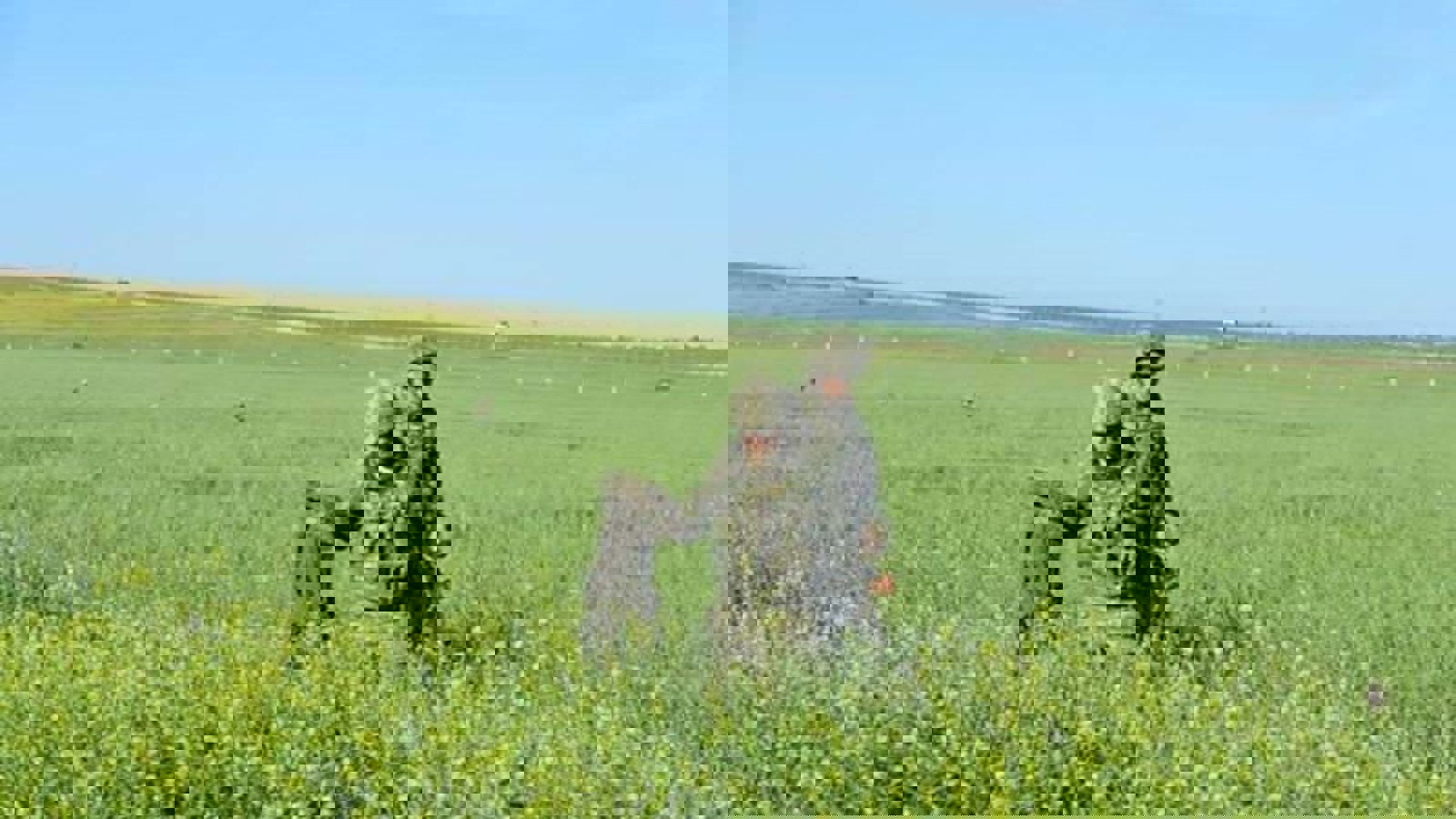 هلاکت ۱۸ تروریست در مرز سوریه/ ترکیه شمال عراق را کوبید