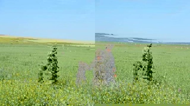 هلاکت ۱۸ تروریست در مرز سوریه/ ترکیه شمال عراق را کوبید