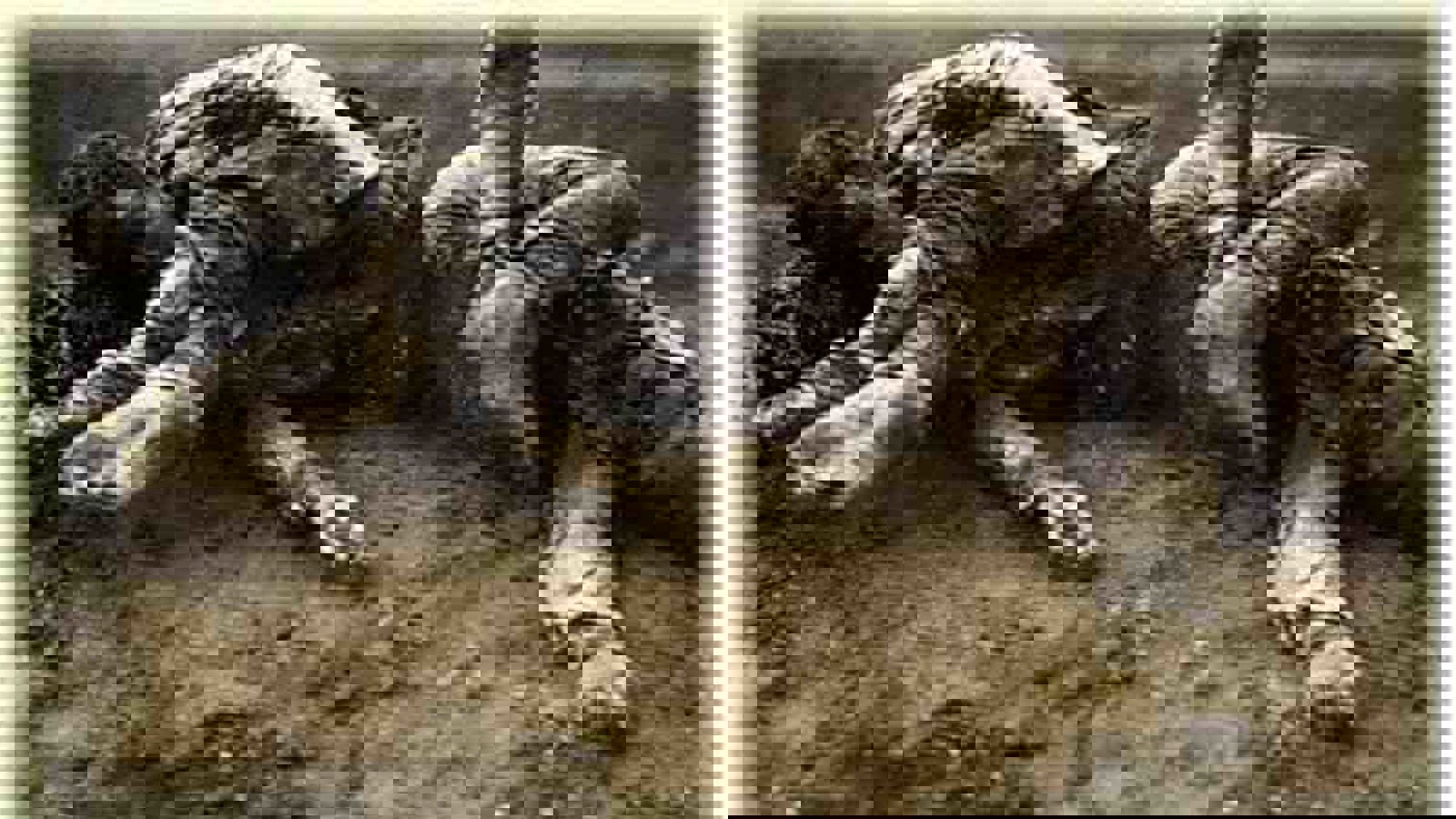 حقایق تاریخی در روابط ترک – ارمنی (بخش دوم)