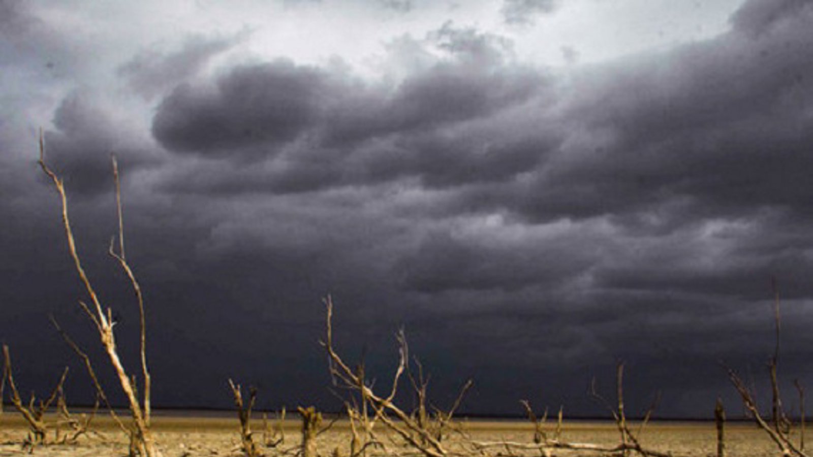 تالاب آلاگل ترکمنها در آستانه خشکی  %۱۰۰ + تصویر