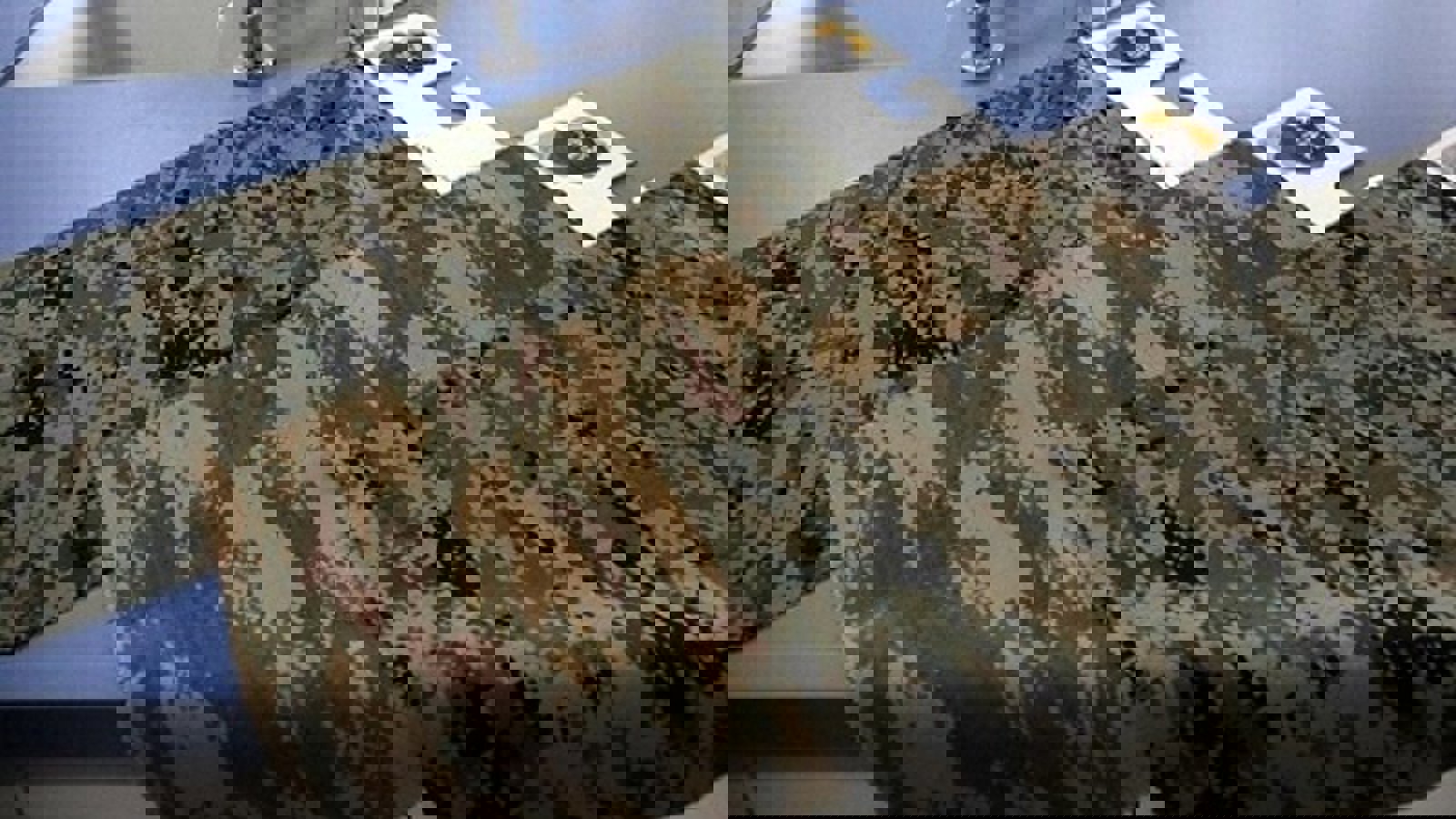 تولید پارچه سبک ضد گلوله، ضد آب  و ضد آتش در ترکیه