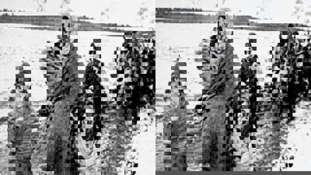 به دستور رجب طیب اردوغان رئیس جمهور ترکیه : اسکان دایم ''تورکان آخیسکا'' در ترکیه