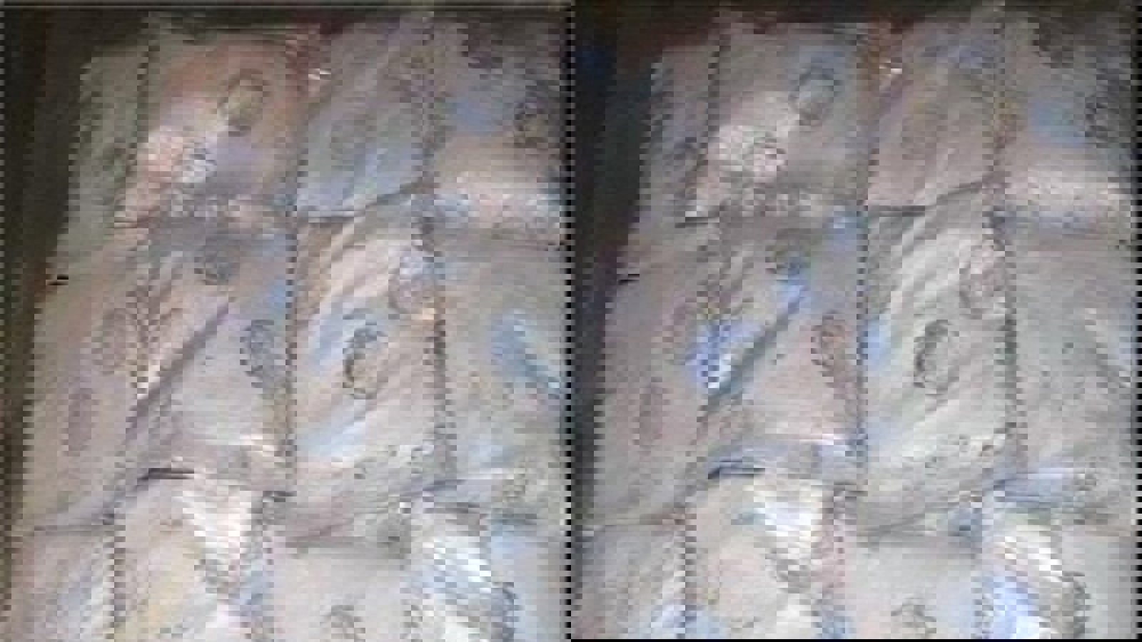 توقیف یک کشتی ایرانی حامل مواد مخدر در امارات