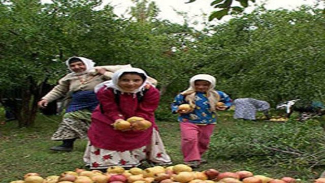 زنان ایران عمدتا از لحاظ اقتصادی غیرفعالند