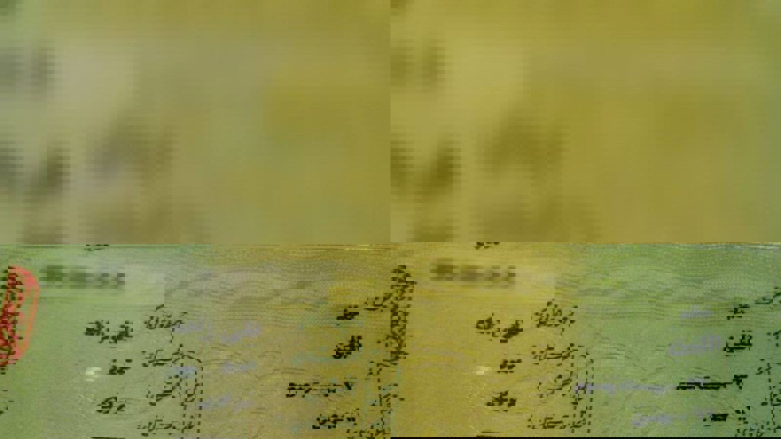 «ائلین» پس از ۵ماه صاحب شناسنامه شد