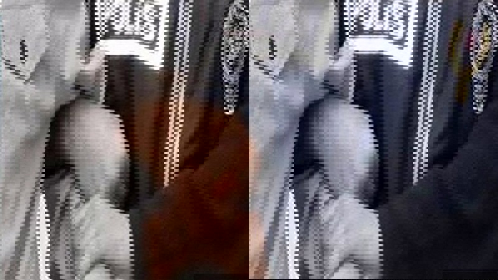 دستگیری ۷ شهروند ایرانی در تورکیه