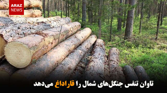 تاوان تنفس جنگل‌های شمال را قاراداغ می‌دهد