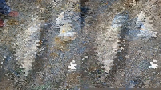 کشف سنگواره یک جانور عظیم در اردبیل آزربایجان