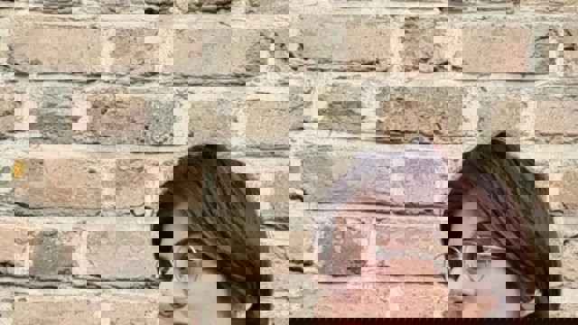 تداوم محرومیت از تحصیل نرگس فداکار دانشجوی دانشگاه اورمیه