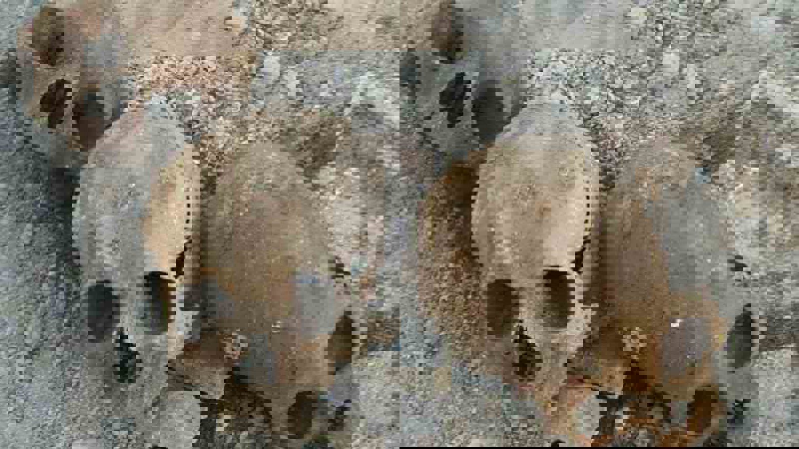 کشف گور دسته‌جمعی در اورمیه