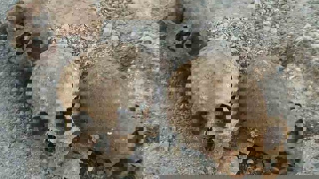 کشف گور دسته‌جمعی در اورمیه