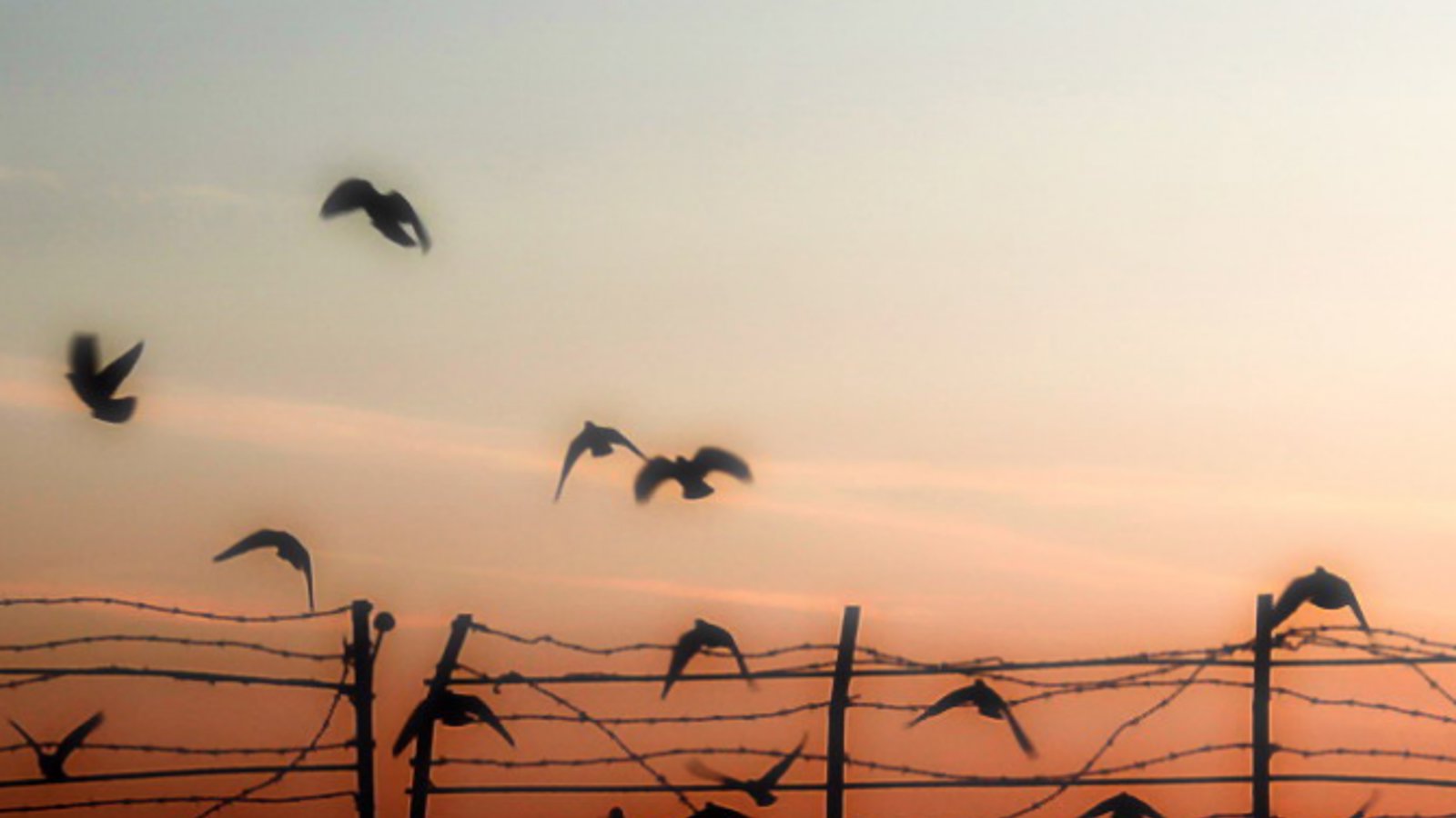 وقایع تظاهرات ضد نژاد پرستی اورمیه از زبان یکی از بازداشت شدگان