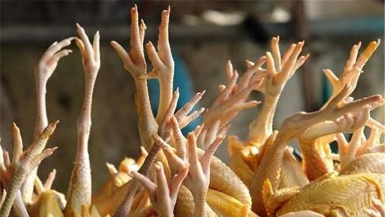 قیمت پای مرغ از خود مرغ گران‌تر شد؟