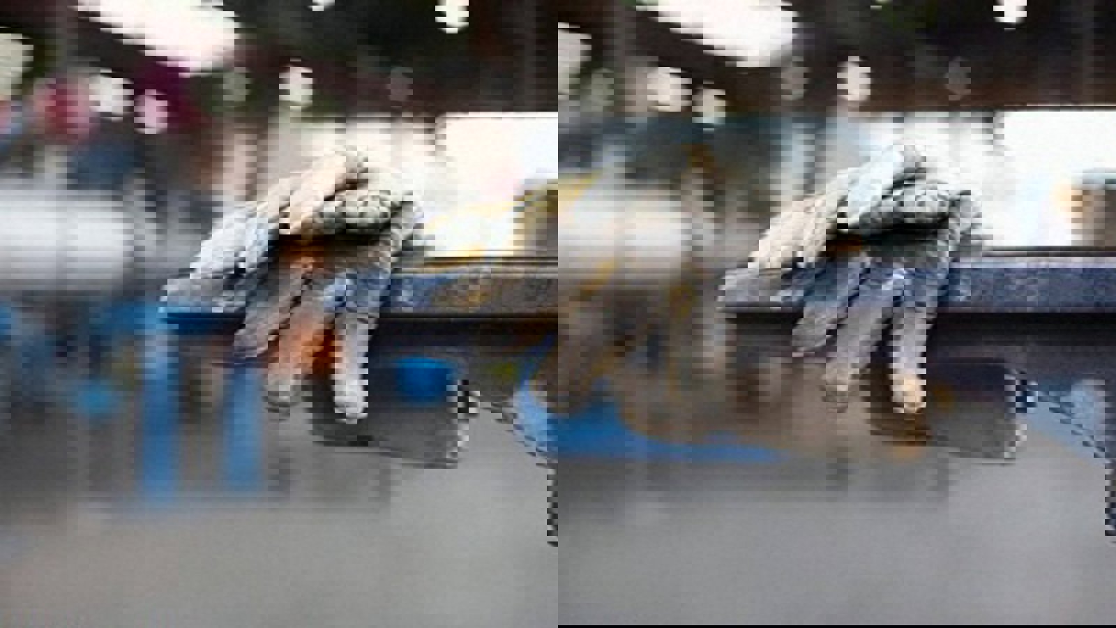 اخراج یا بیکار شدن بیش از ۵۲۰۰ کارگر در زنجان