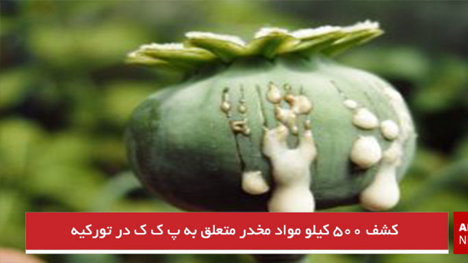 کشف ۵۰۰ کیلو مواد مخدر متعلق به پ ک ک در تورکیه