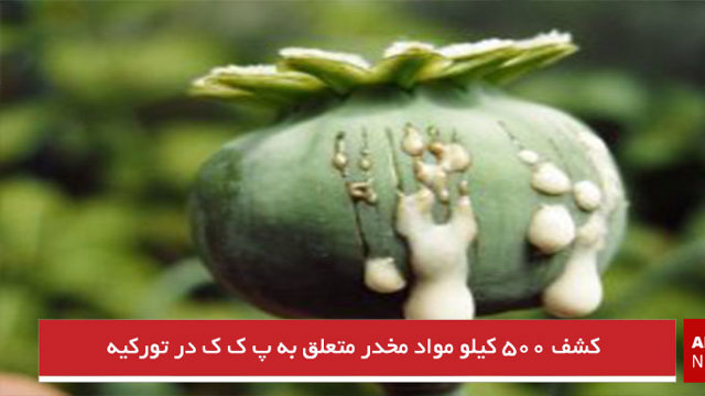 کشف ۵۰۰ کیلو مواد مخدر متعلق به پ ک ک در تورکیه