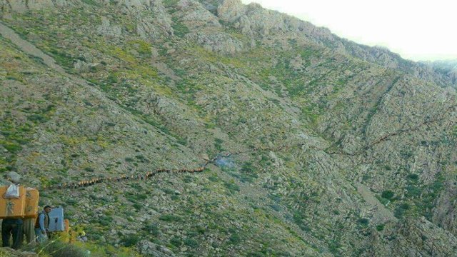 بگویید قاچاقچیان قانونی تحت حمایت تهران و اصلاح‌طلبان ضد آزربایجان