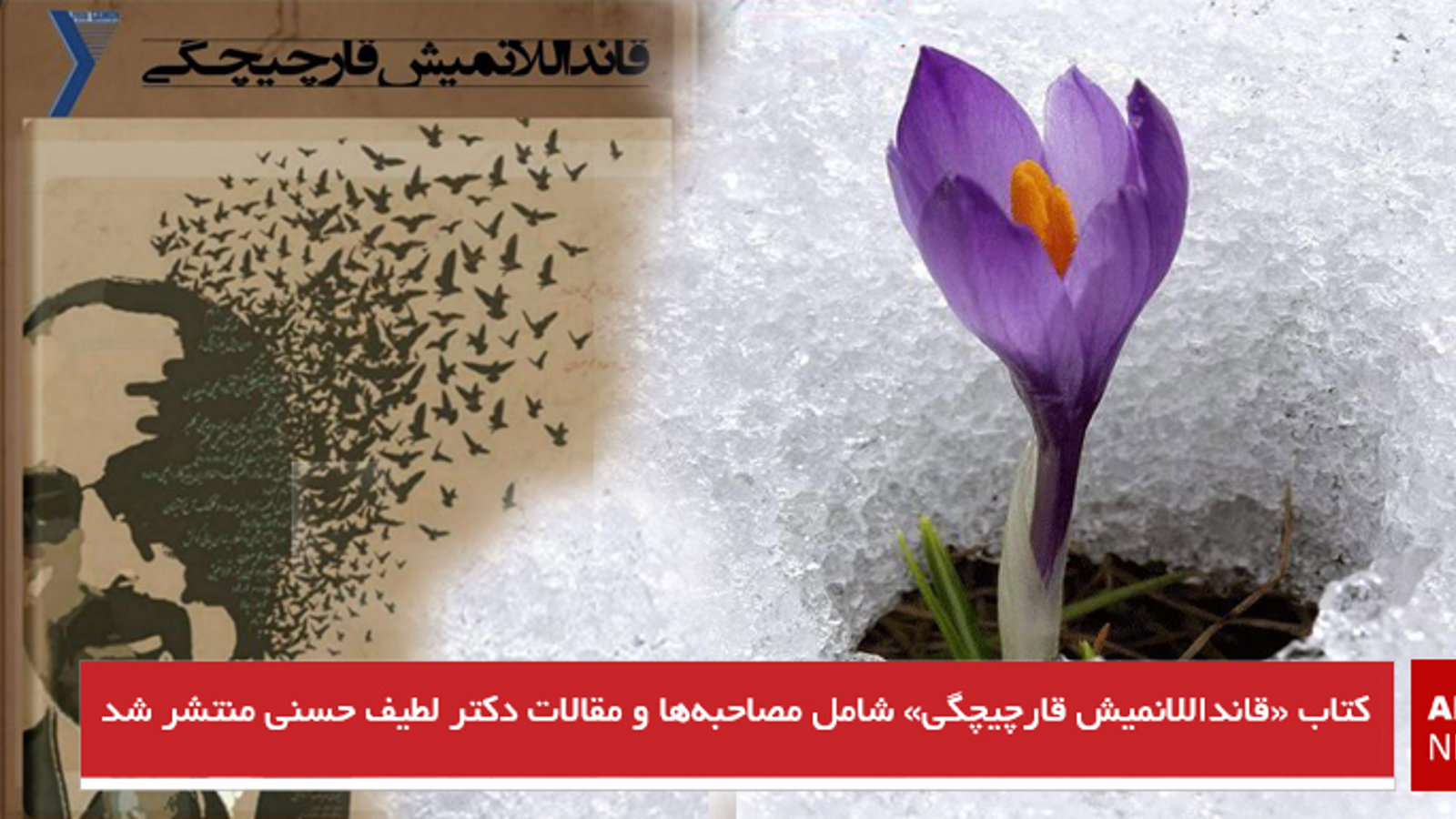 کتاب «قانداللانمیش قارچیچگی» شامل مصاحبه‌ها و مقالات دکتر لطیف حسنی منتشر شد