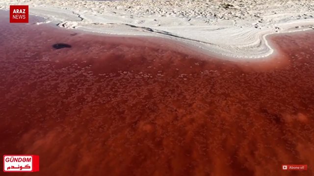 گوندم پروقرامی - ۱۲ مهر