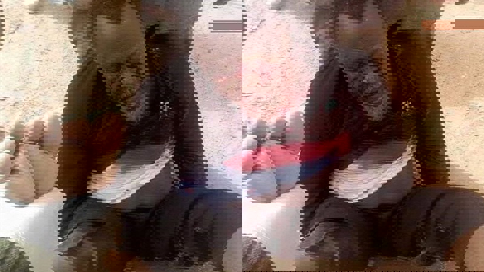 کشته شدن همسر، پسر و معاون شیخ زکزاکی و بازداشت رهبر شیعیان نیجریه + تصاویر