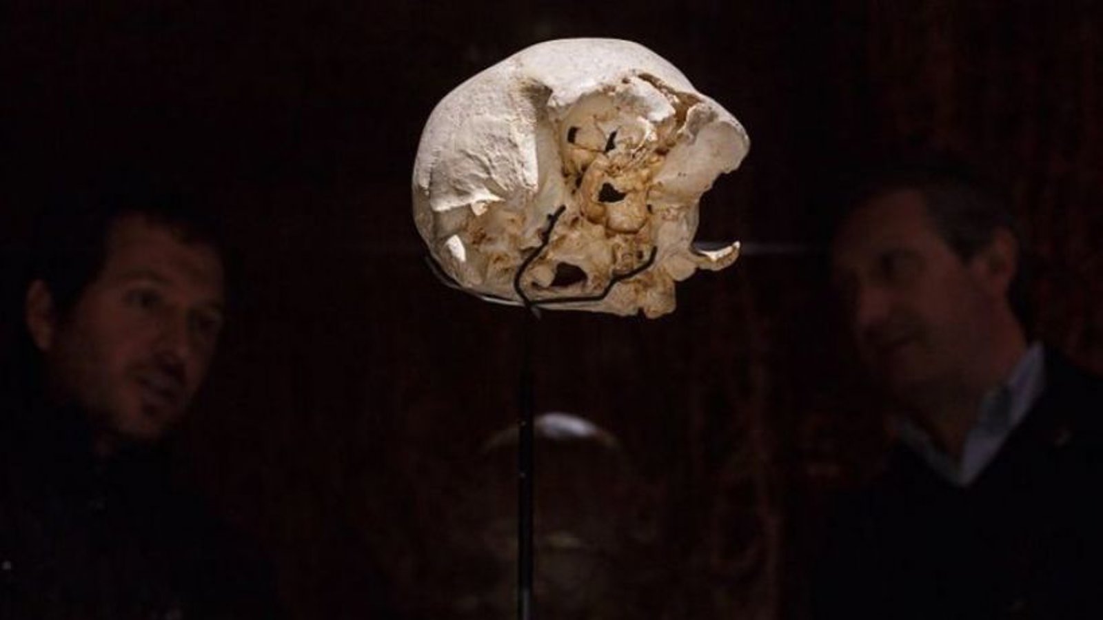 انسانهای اولیه ممکن است برای مبارزه با زمستان به خواب زمستانی رفته باشند