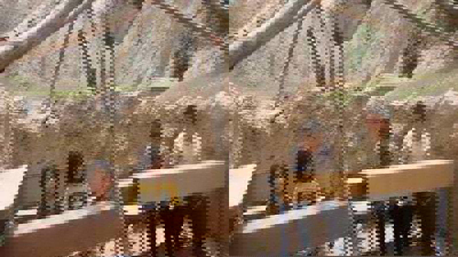 تمامیت ارضی یا تمامیت منابع ارضی؟