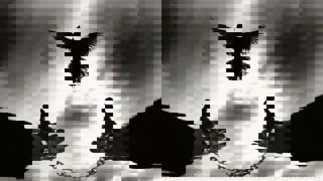 ابراهیم نوری و اکبر جهانگیرزاده آزاد شدند