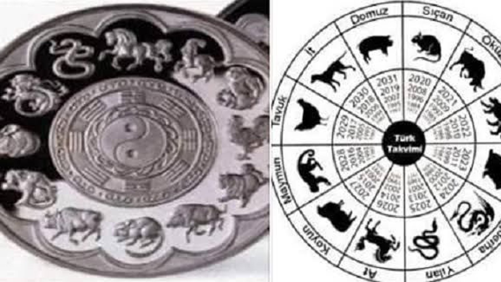 سال ۱۳۹۹؛ سیچان ایلی ( سال موش) است - توحید ملک زاده