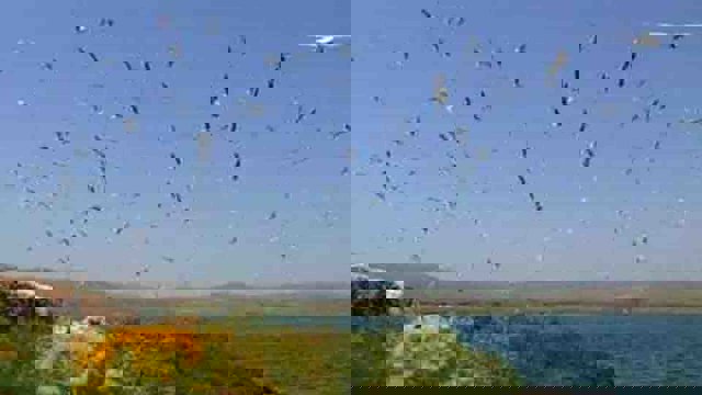 سد شهید کاظمی 