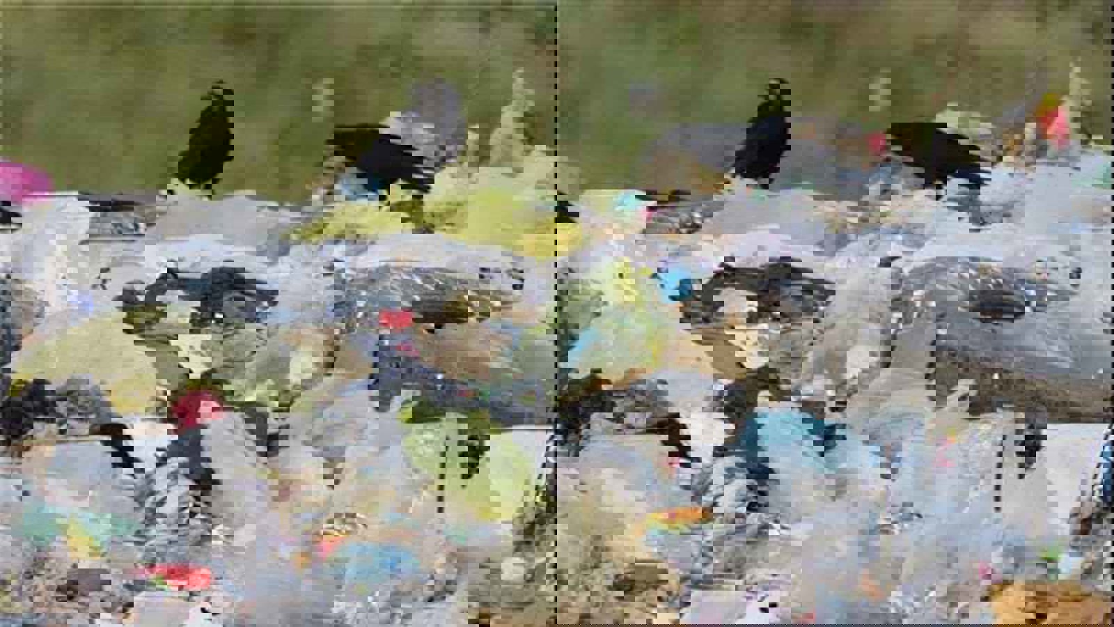 تهدید بیماری و آلودگی مردم، به دنبال دفع غیراصولی زباله در خلخال